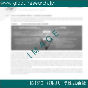 グローバルリサーチ調査資料のイメージ
